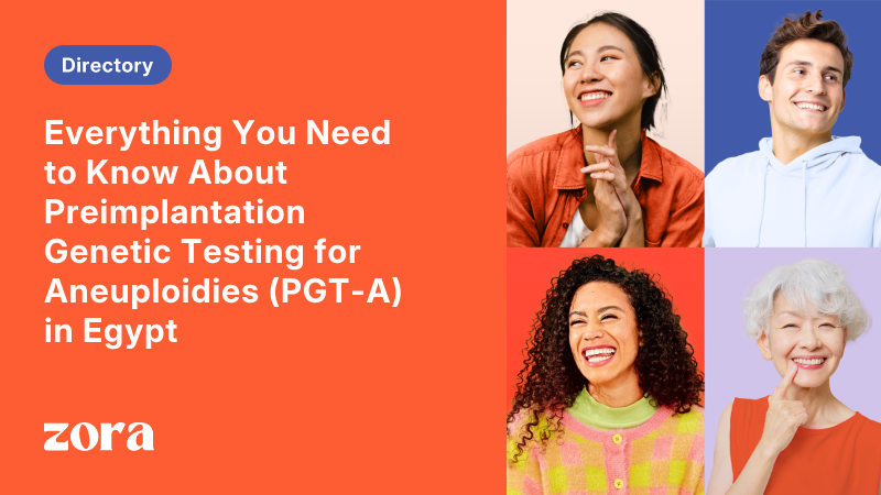 Everything You Need to Know About Preimplantation Genetic Testing for ...